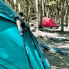 Cargar imagen en el visor de la galería, Bastones de trekking Wild Travel 2 unidades, Ajustable, Resistente y Ligero
