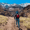 Cargar imagen en el visor de la galería, Bastones de trekking Wild Travel 2 unidades, Ajustable, Resistente y Ligero
