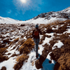 Cargar imagen en el visor de la galería, Bastones de trekking Wild Travel 2 unidades, Ajustable, Resistente y Ligero
